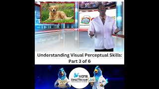 Gaining a Better Understanding of Visual Perceptual Skills Part 3 of 6 [upl. by Shaya578]