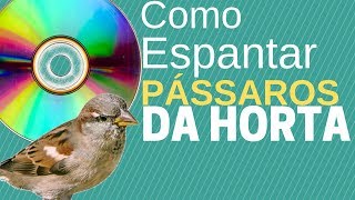 Como Espantar Pardais e Pombos da Horta utilizando CDs e DVDs [upl. by Htbazile829]