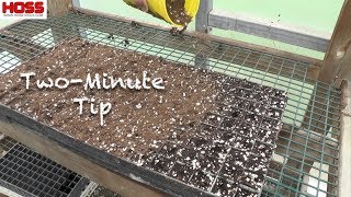 The Best Seed Starting Mix for Growing Vegetable Transplants [upl. by Annoeik]