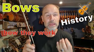 I Talk About Violin Bows Viola Bows and Cello Bows [upl. by Durrej46]