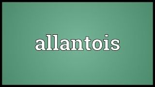 Allantois Meaning [upl. by Perot883]