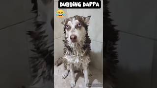 Makkamishi 🤣 funny shorts dog shortsfeed dogshorts doglover funnyanimals animals comedy [upl. by Yema]