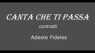 Adeste Fideles contralti [upl. by Drauode746]