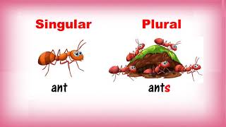 Singular and Plural Nouns  Class 1  CBSE [upl. by Cedell]