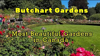 Butchart Gardens  Full Walking Tour 4K  Victoria BC  July 2024 [upl. by Delamare195]