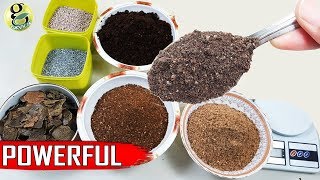 Best DIY Fertilizer Mix Recipe Universal Allpurpose Mixed Fertilizer Powder [upl. by Eckmann616]