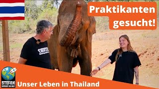 Praktikumsstellen in Thailand zu vergeben Visa Krankenversicherung Logis und Mobilität inkl [upl. by Ahsenaj]