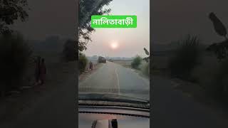 নালিতাবাড়ী। Nalitabari Mithun music song hindisong retro nature travel mithun nalitabari [upl. by Rubinstein245]