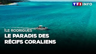 Île Rodrigues  le paradis des récifs coraliens [upl. by Allbee432]