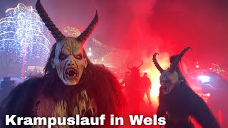 Krampuslauf in Wels 2023 🇦🇹 Wels Austria [upl. by Duwalt]