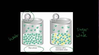 Vapor Pressure lowering  Explaining Raoults Law [upl. by Tina]