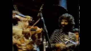 Stéphane Grappelli and David Grisman  Sweet Georgia Brown San Francisco 1982 official HQ video [upl. by Aicilat]