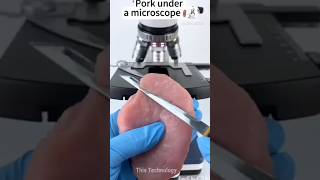 Pork Under The Microscopethistechnology facts microscope technology shoets mrbeast funny [upl. by Laved548]