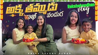 Rakshabandhan Special Vlog  నా పిల్లల రాఖీ పండుగ   New Arrivals  Priya Telugu Vlogs [upl. by Adnalue]