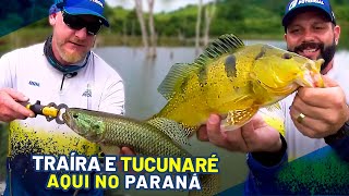 Pescando TRAÍRA E TUCUNARÉ no Paraná  Represa de Mauá com o Alemão da Tropical Frog [upl. by Vivi]