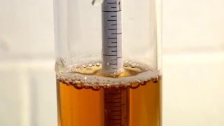 How to Use a Hydrometer for Homebrewing [upl. by Maier531]