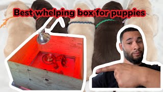 How to make a whelping box for puppies [upl. by Eniledgam825]