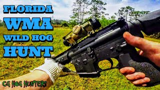 WILD HOG HUNTING Florida Public Land [upl. by Eivla]