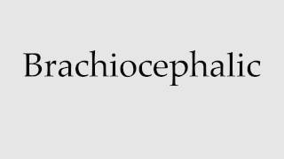 How to Pronounce Brachiocephalic [upl. by Tamis]