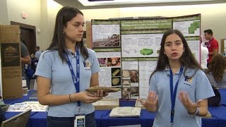 Salvando el planeta Proyecto quotFabricación de un Prototipo de Platos Biodegradablesquot [upl. by Acirre]