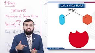 Class 9  Biology  Chapter 6  Lecture 5  Mechanism of enzyme action  Allied Schools [upl. by Hairam657]