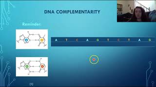 DNA Basics and Complementarity  Flipped Classroom Lecture Video [upl. by Hines]