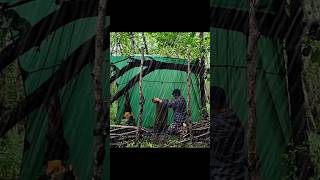 Solo camping in the rain asmr survival shortvideo rain [upl. by Auqinahc]