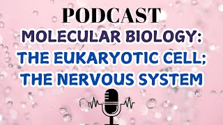 MOLECULAR BIOLOGYTHE EUKARYOTIC CELL THE NERVOUS SYSTEM [upl. by Adneram233]