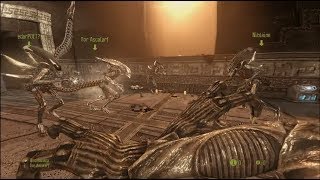 Alien vs Predator 3 Funny Moments [upl. by Gilchrist]