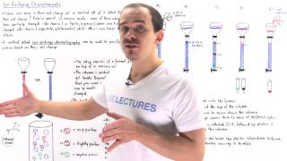 Ion Exchange Chromatography [upl. by Annoiek]