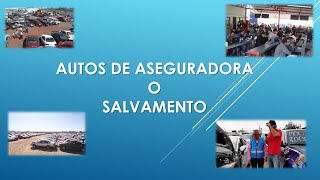 Episodio 28 Autos De Aseguradora o Salvamento ¿Cómo Adquirirlos y Cómo asegurarlos [upl. by Caine]