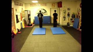 falls and forms Mei hua quan Kung fu [upl. by Oringas]