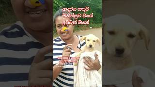 Baby dog❤Cute Puppies❤ මනුස්සකම පිරැණු අය එකතුවෙමු🙏❤ trending dog love [upl. by Parry]