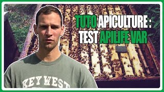 Tuto apiculture  Test apilife var [upl. by Kirima422]