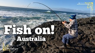 Rock Fishing Australia 2024  Massive Fish  How to catch Tailor Fish [upl. by Germaine11]