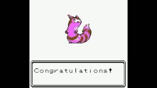 Shiny Sentret evolves into Furret  Pokémon Crystal [upl. by Iahk]