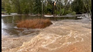 Flooding at Nance’s Pond [upl. by Simmons635]