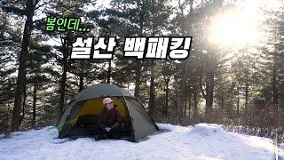 초속 7m 강풍에 날아갈 뻔한 봄맞이 설산 백패킹 영하 15도 꽃샘 추위는 덤이겠죠 겨울에서 봄으로 의 아직은 겨울 백패킹 [upl. by Linnette]