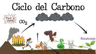 ♻️ Ciclo del Carbono ⚫️ Fácil y Rápido  BIOLOGÍA [upl. by Milone]