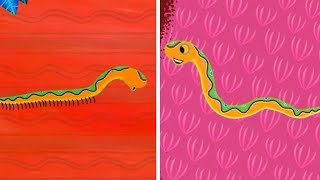 Tinga Tinga Tales Official  Why Snake Has No Legs  Tinga Tinga Tales Full Episodes [upl. by Secunda]