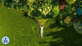 Il Canto della Foresta Suoni Rilassanti della Natura con Musica in Sottofondo [upl. by Jeannie268]