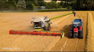 4Kᵁᴴᴰ Harvest 2023 Claas Lexion 8900 TT combine harvesting barley in Suffolk [upl. by Nicole783]