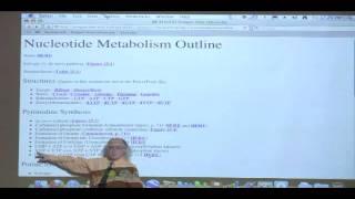 Kevin Aherns BiteSized Biochemistry 39  Nucleotide Metabolism I [upl. by Finny]