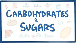 Carbohydrates amp sugars  biochemistry [upl. by Sugirdor359]