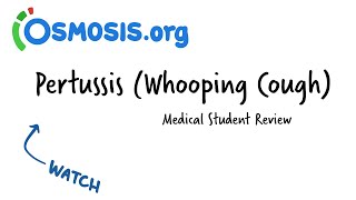 Pertussis Whooping Cough  Osmosis Study Video [upl. by Felisha603]