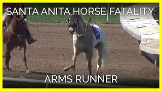 Horse fatality at Santa Anita  Arms Runner March 31 2019 [upl. by Tryck271]