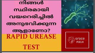 Rapid Urease Test RUT  CLO Test  Helicobacter Pylori Malayalam [upl. by Ellehcrad]