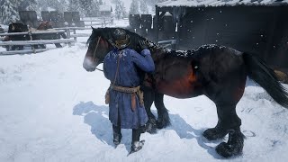 6 Breton horse exist in RDR2 [upl. by Tterag972]