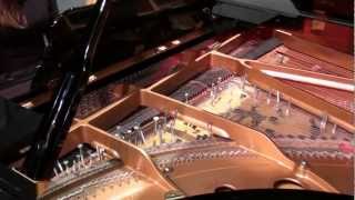 John Cage  Sonata V from Sonatas and Interludes  Inara Ferreira prepared piano [upl. by Amandy]