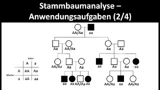 Stammbaumanalyse  Anwendungsaufgaben 24  Biologie Oberstufe [upl. by Odama]